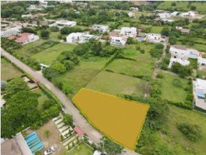 link and photo to view Lote - 26733