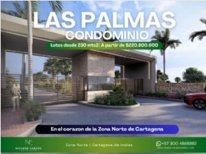 link and photo to view Lote - 27262