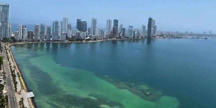 Sectores para invertir en Cartagena de Indias-ACR